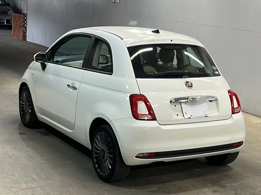 Fiat 500 31209 2019