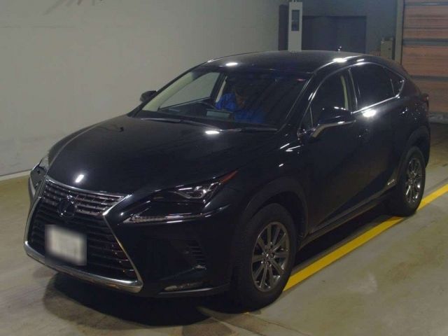 10007 LEXUS NX AYZ10 2019 г. (TAA Yokohama)