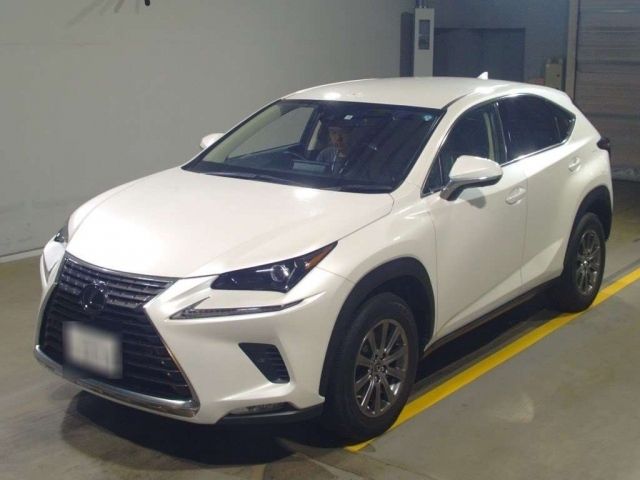 10126 LEXUS NX AGZ15 2019 г. (TAA Yokohama)