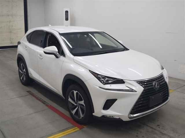 30185 LEXUS NX AYZ15 2018 г. (MIRIVE Osaka)