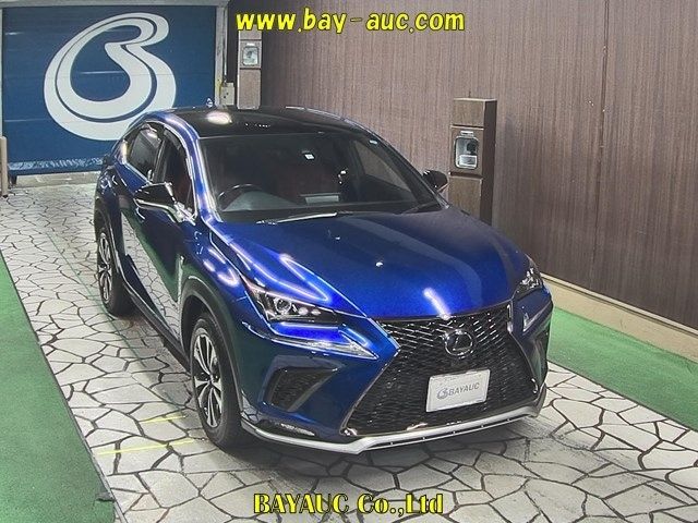 50151 LEXUS NX AGZ10 2019 г. (BAYAUC)