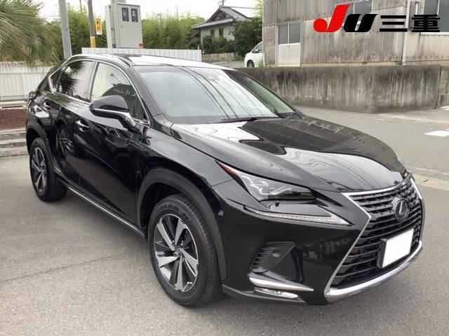 3591 LEXUS NX 2018 г. (JU Mie)