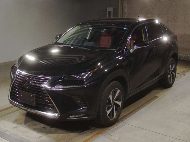 10079 LEXUS NX 2020 г. (TAA Kinki)