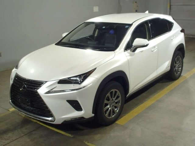 10001 LEXUS NX AYZ15 2020 г. (TAA Hokkaido)