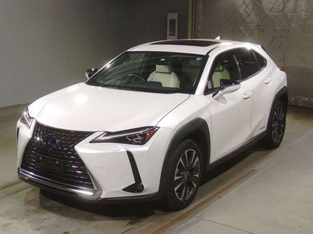 10015 LEXUS UX 2021 г. (TAA Kinki)