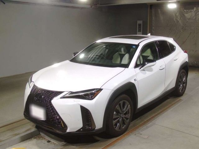 10116 LEXUS UX 2019 г. (TAA Kinki)