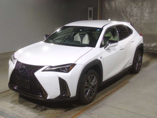 10096 LEXUS UX 2020 г. (TAA Kinki)