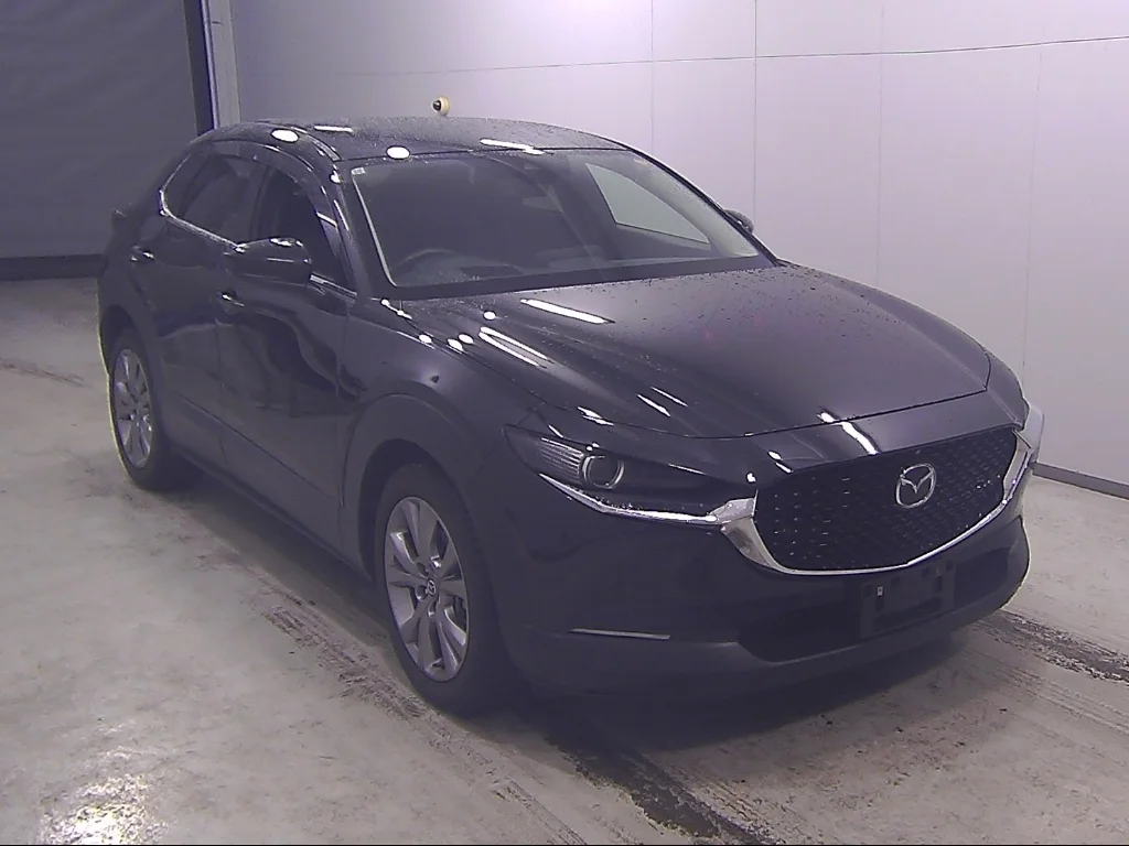 Mazda CX-30 DM8P 2021