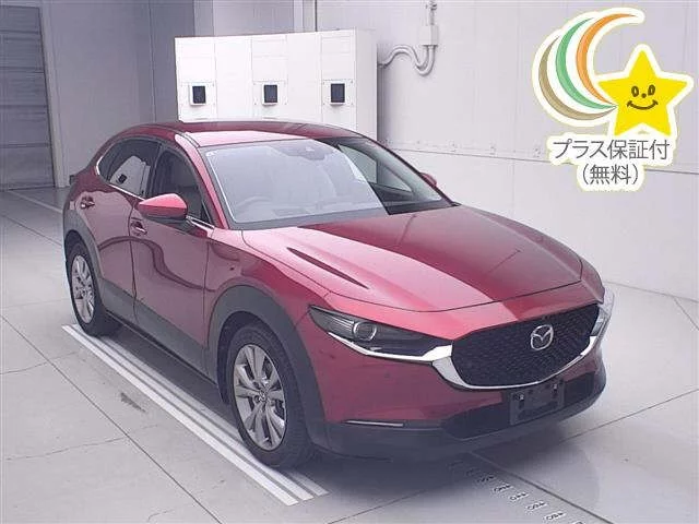 Mazda CX-30 DM8P 2019