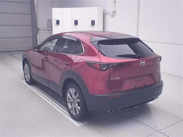 Mazda CX-30 DM8P 2019