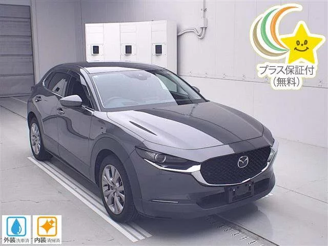 Mazda CX-30 DM8P 2019