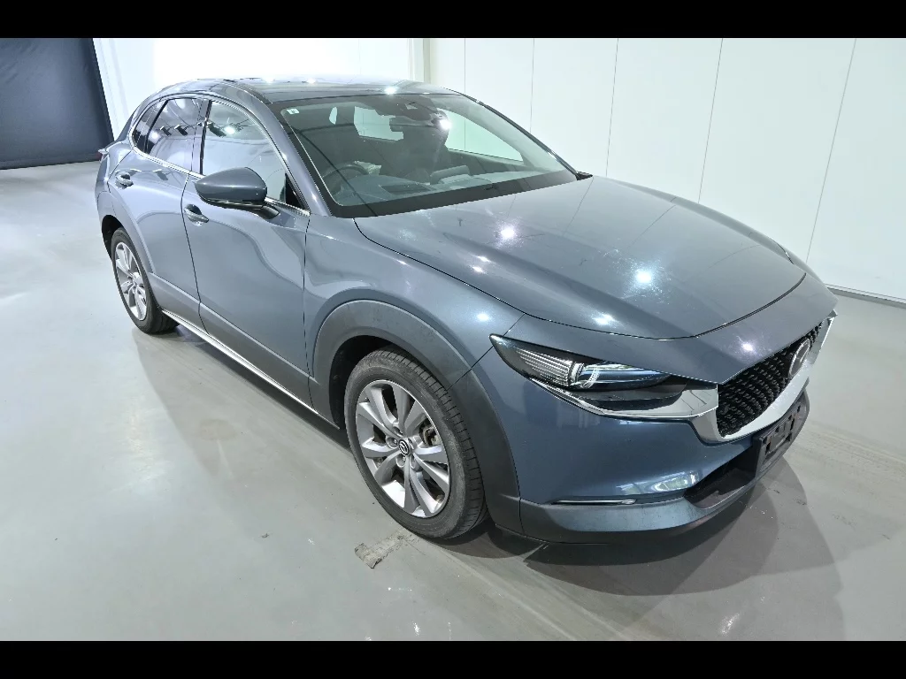 Mazda CX-30 DM8P 2019
