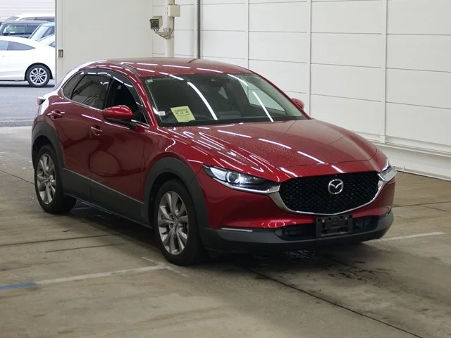Mazda CX-30 DM8P 2019