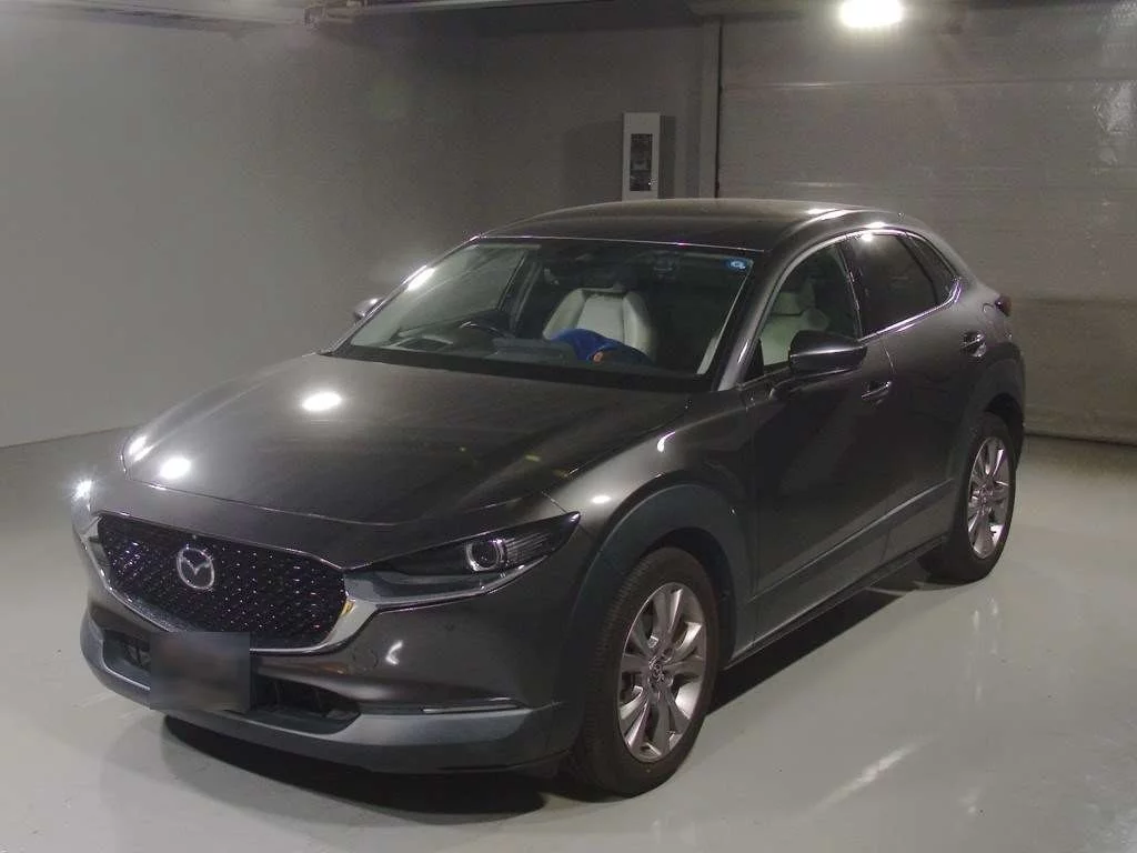 Mazda CX-30 DM8P 2019