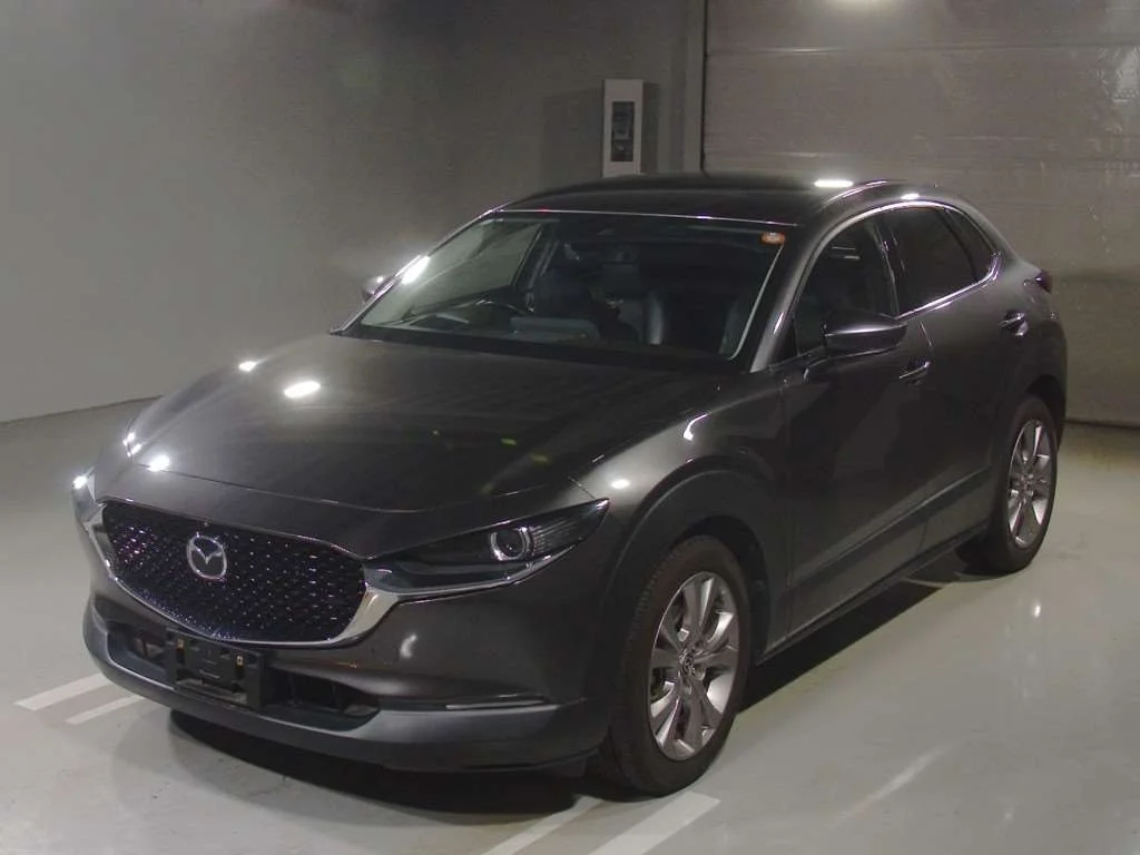 Mazda CX-30 DM8P 2019