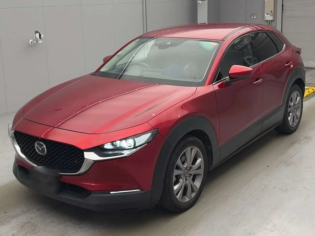 Mazda CX-30 DM8P 2019