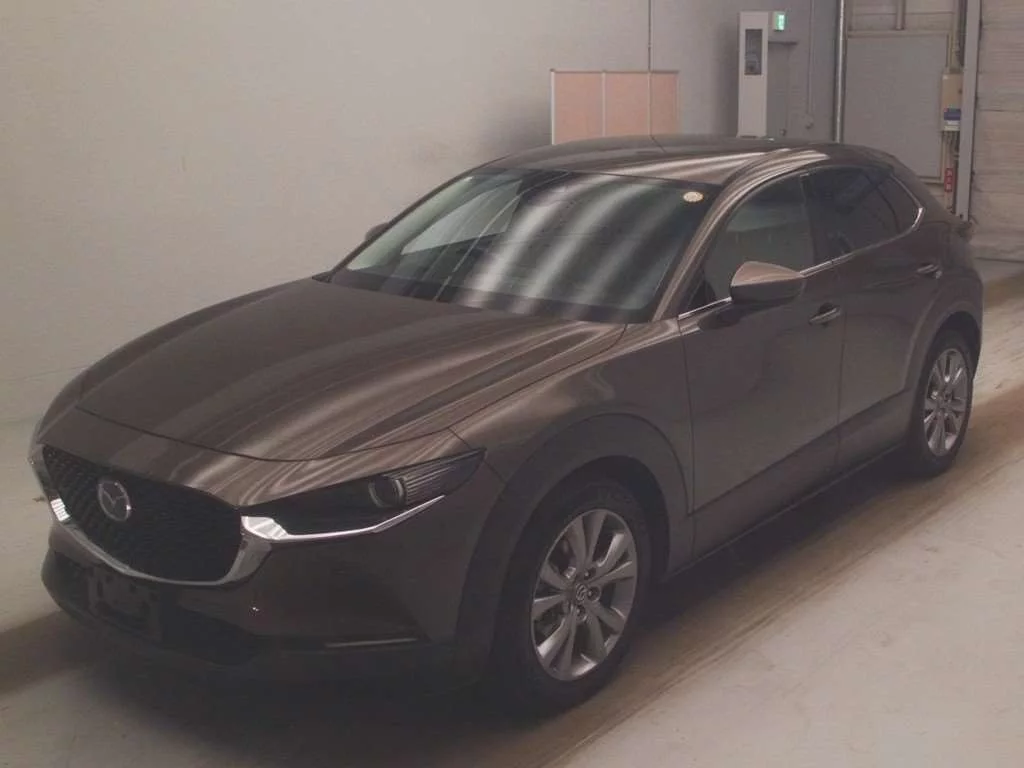 Mazda CX-30 DM8P 2019