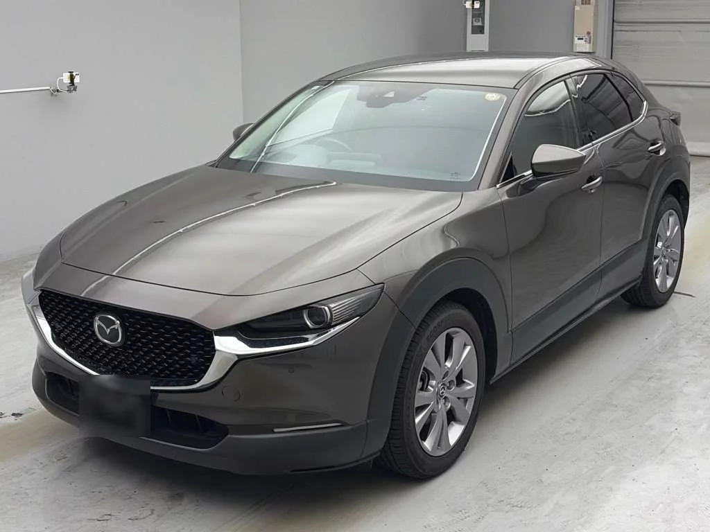 Mazda CX-30 DM8P 2019