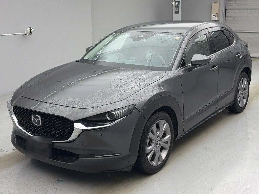 Mazda CX-30 DM8P 2019
