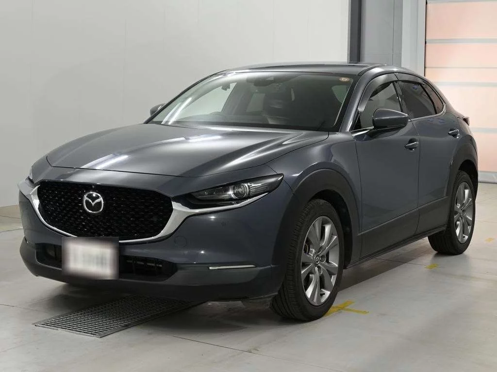 Mazda CX-30 DM8P 2019