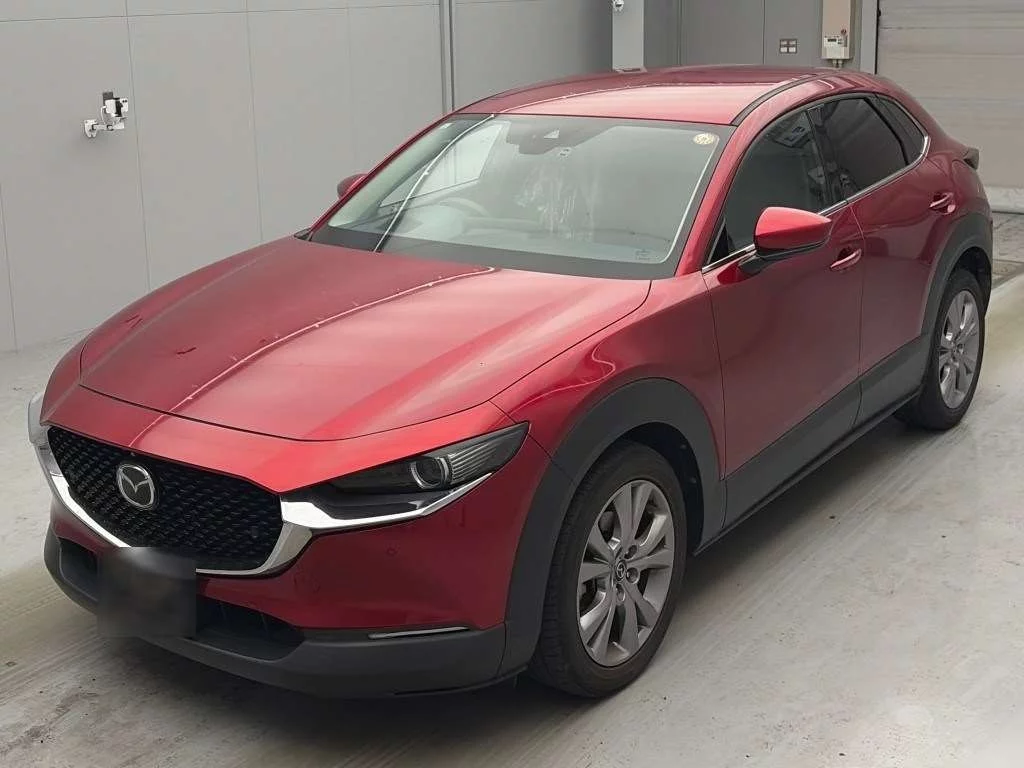 Mazda CX-30 DM8P 2019