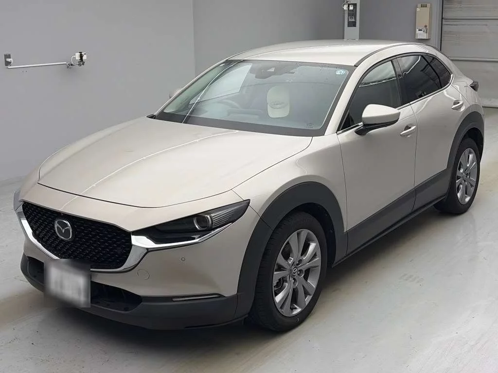 Mazda CX-30 DM8P 2022