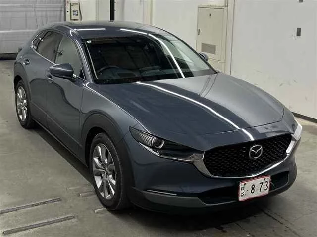 Mazda CX-30 DM8P 2022