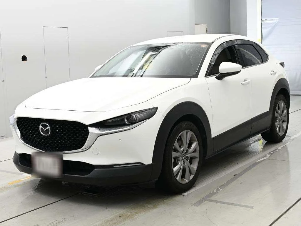 Mazda CX-30 DM8P 2019