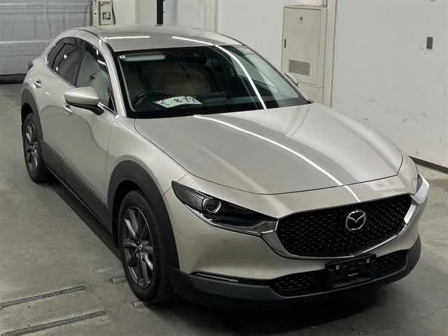 Mazda CX-30 DM8P 2022