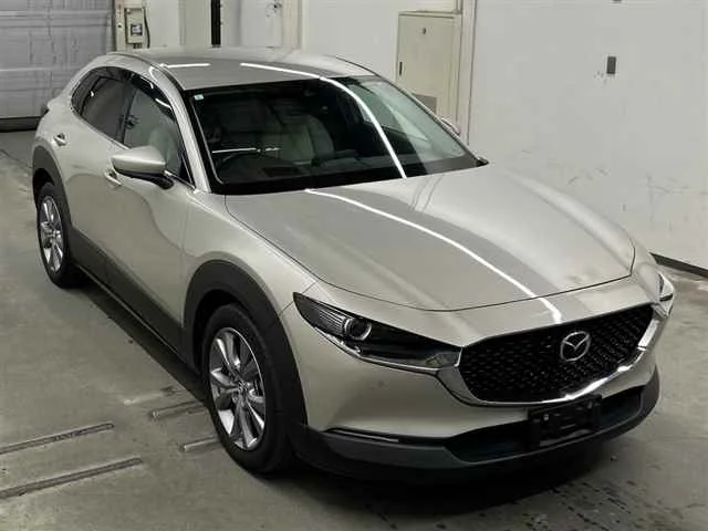 Mazda CX-30 DM8P 2023
