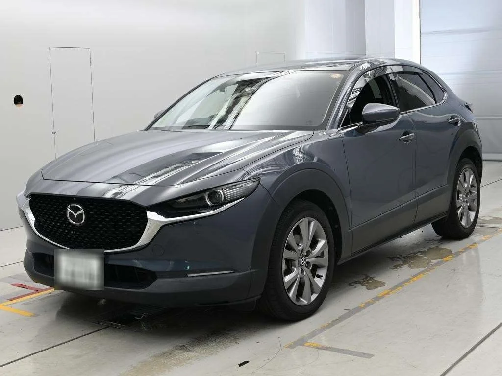 Mazda CX-30 DM8P 2019