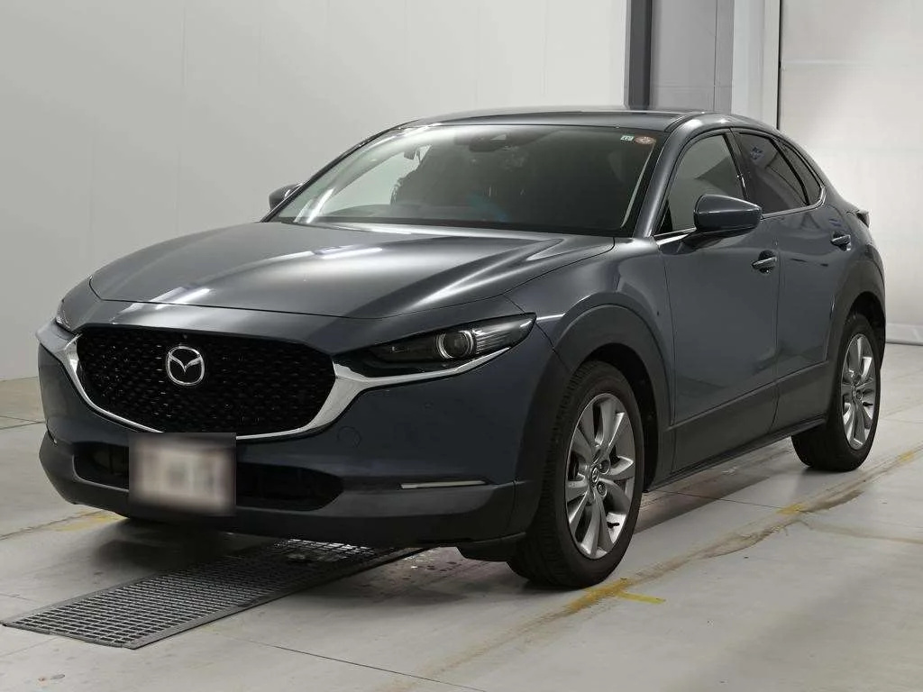 Mazda CX-30 DM8P 2019