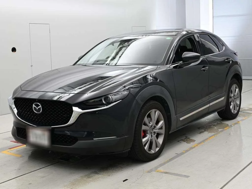 Mazda CX-30 DM8P 2019
