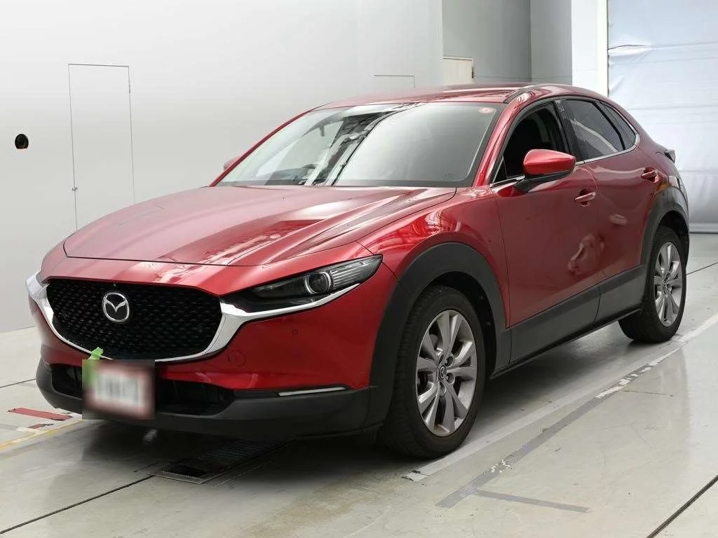 Mazda CX-30 DM8P 2019