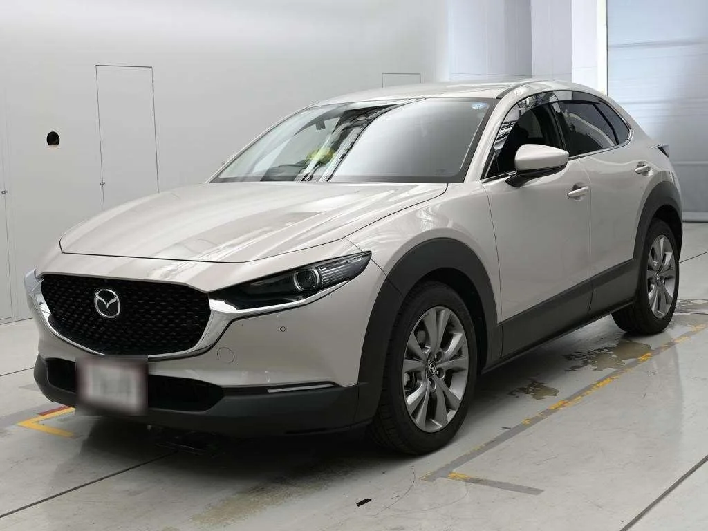 Mazda CX-30 DM8P 2022