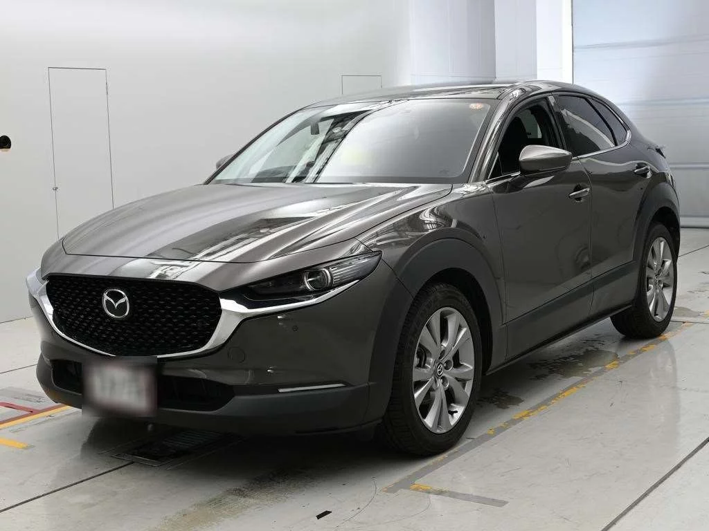Mazda CX-30 DM8P 2019