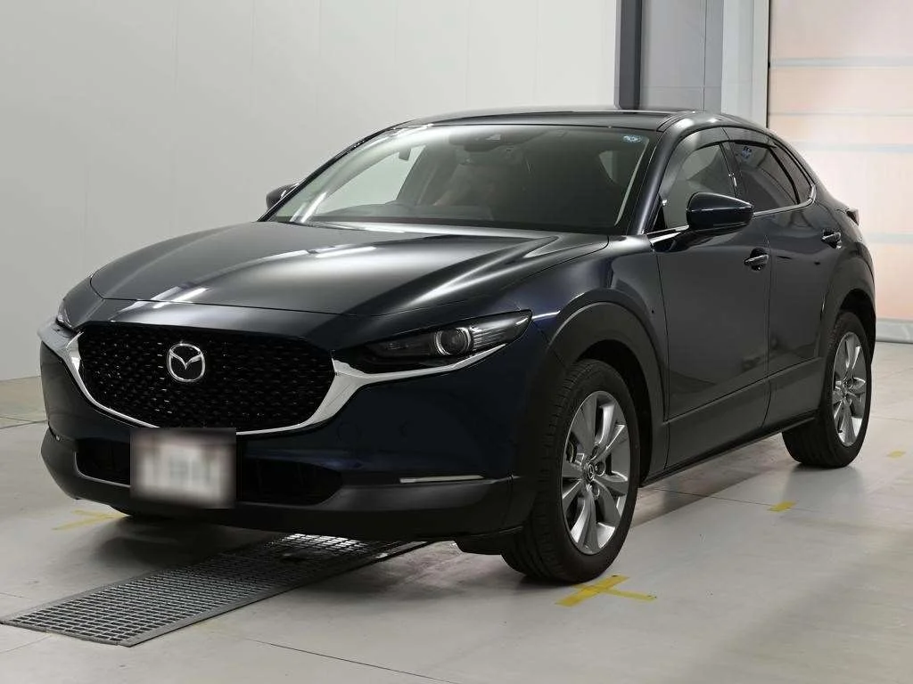 Mazda CX-30 DM8P 2022