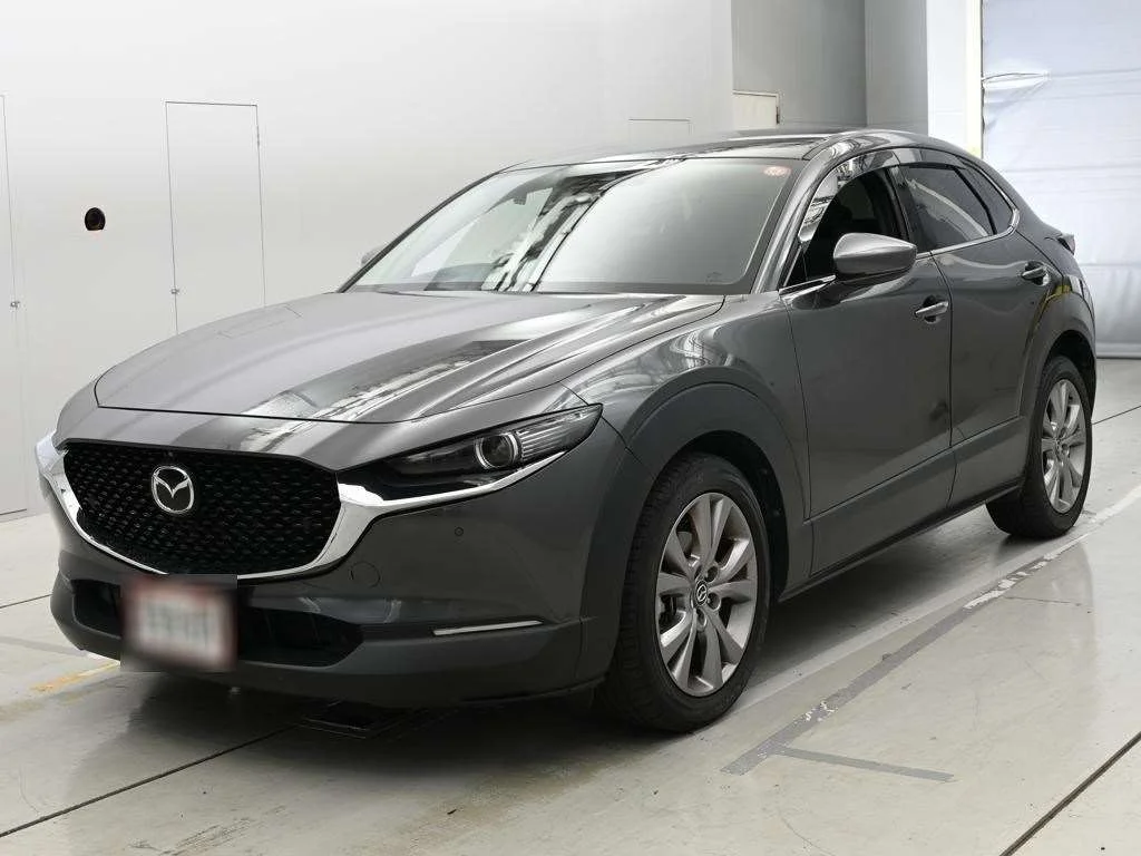 Mazda CX-30 DM8P 2019