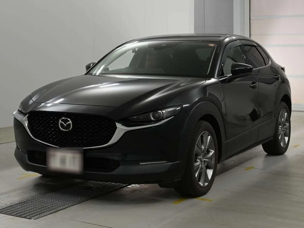 Mazda CX-30 DM8P 2019