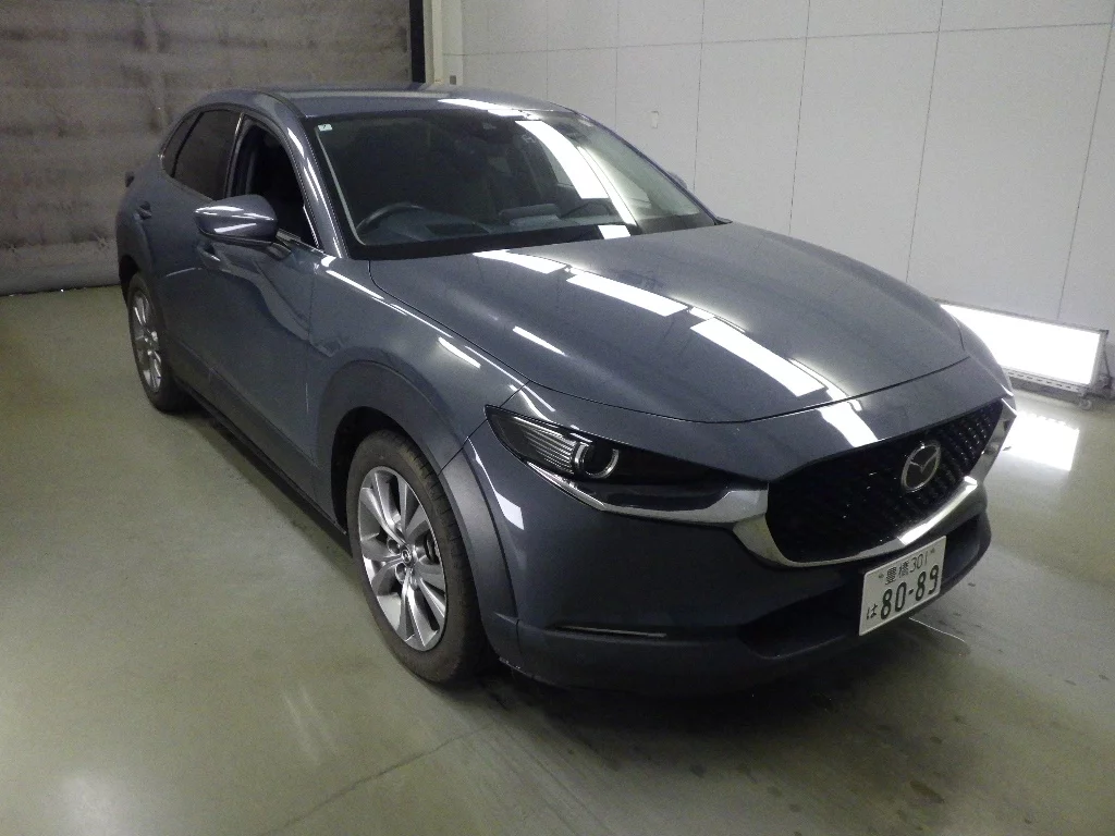 Mazda CX-30 DM8P 2022