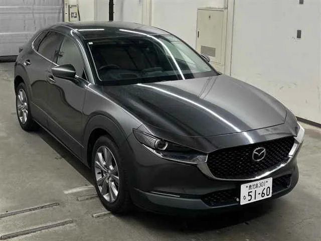 Mazda CX-30 DM8P 2023