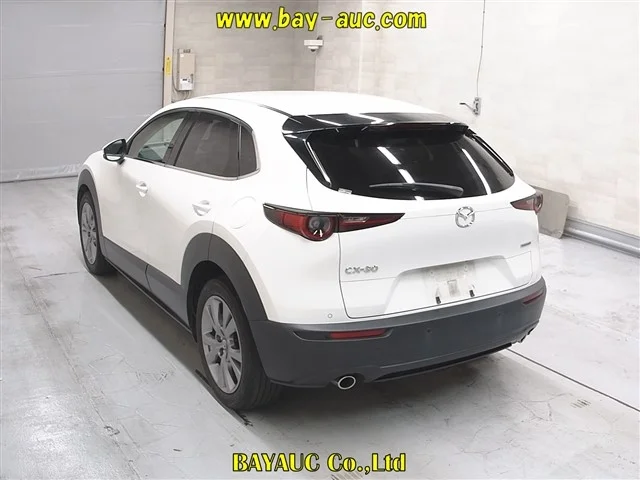 Mazda CX-30 DM8P 2021