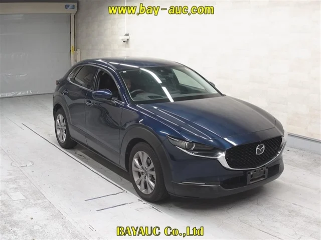 Mazda CX-30 DM8P 2019
