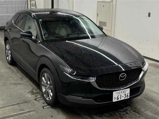 Mazda CX-30 DM8P 2019