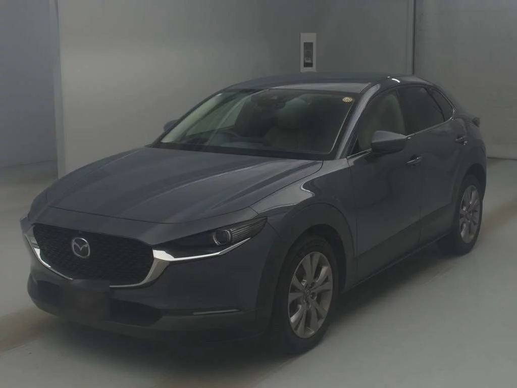 Mazda CX-30 DM8P 2019