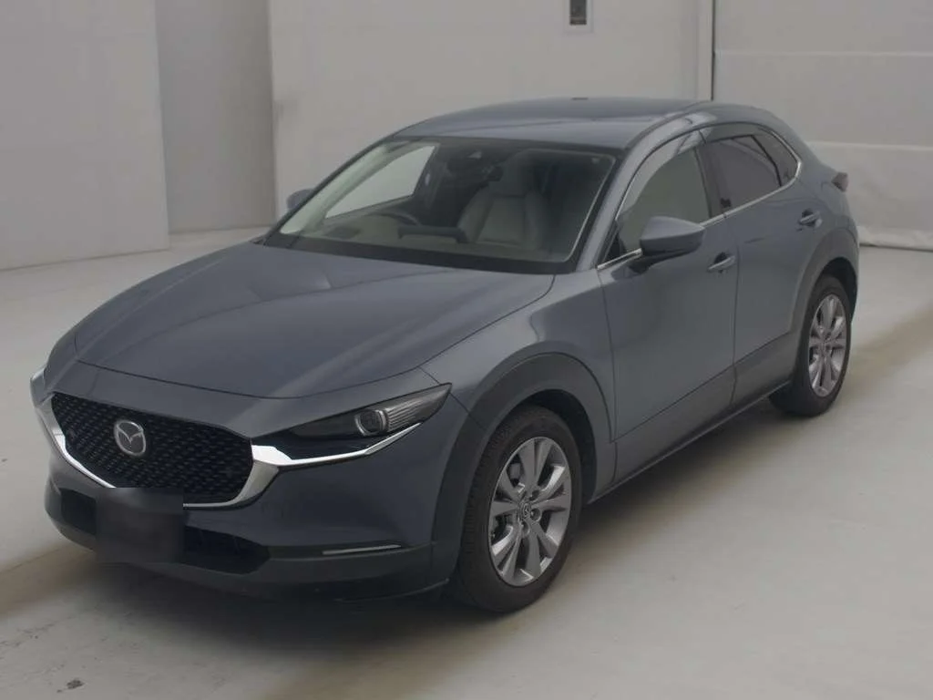 Mazda CX-30 DM8P 2019