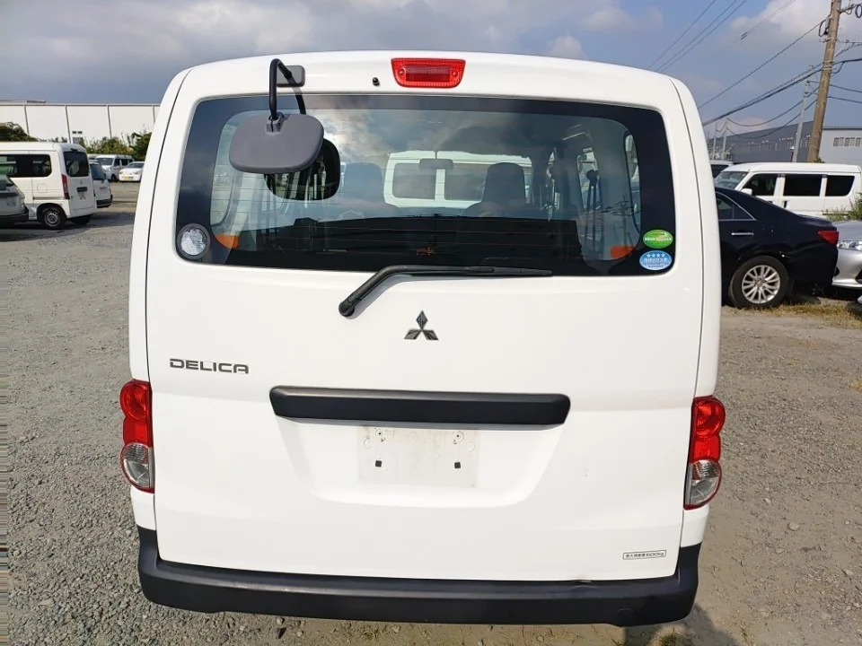 Mitsubishi Delica BVM20 2019