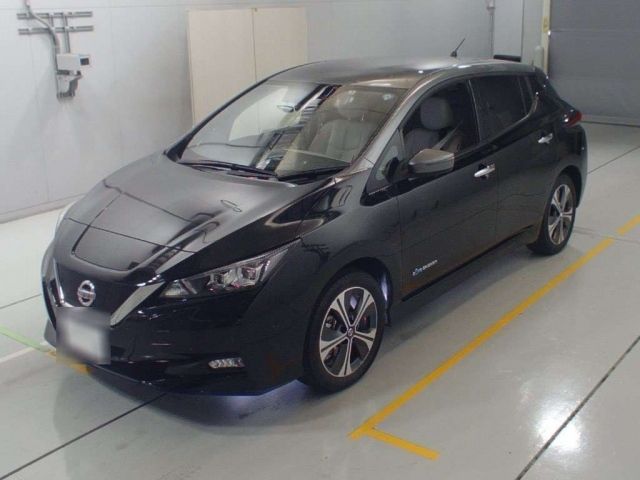 33545 NISSAN LEAF ZE1 2019 г. (CAA Chubu)