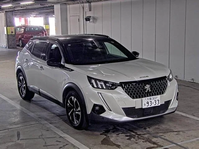 Peugeot 2008 P24HN05 2020