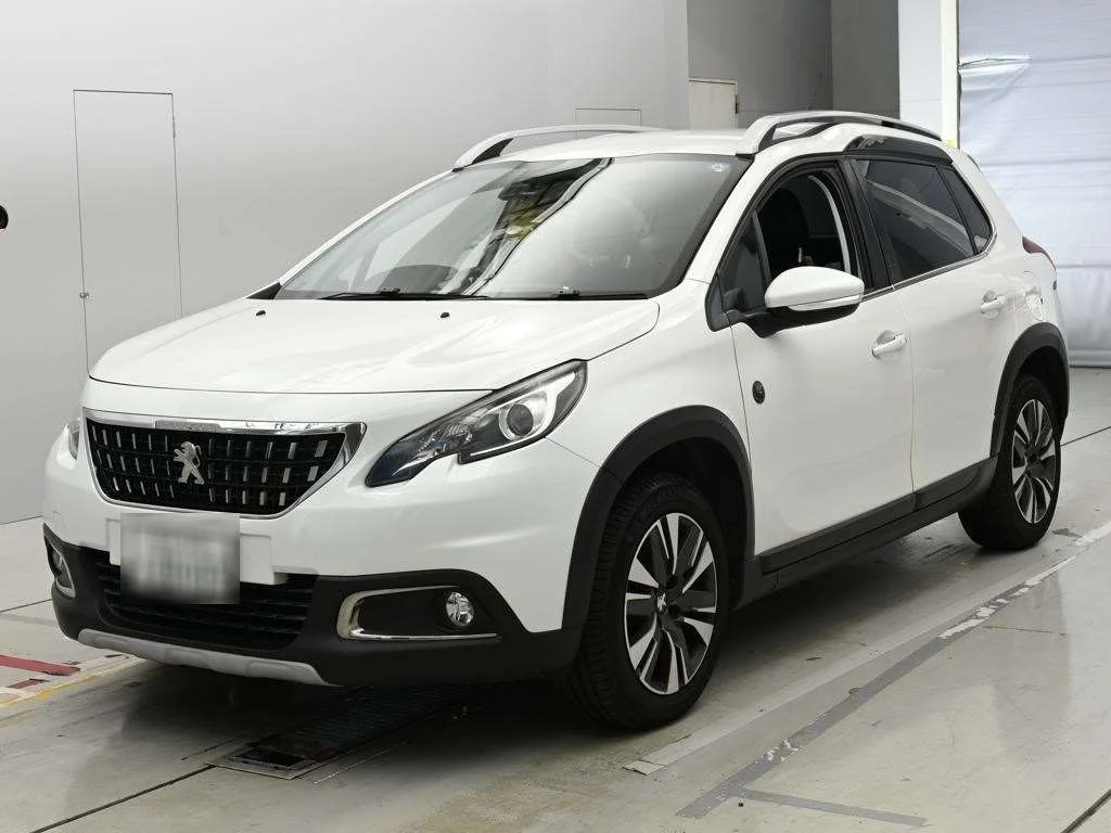 Peugeot 2008 A94HN01 2019